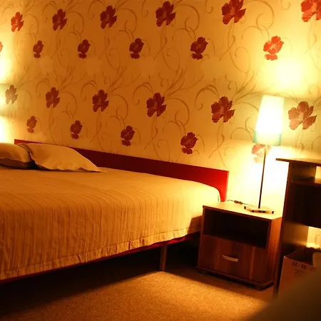 Ubytovani Pod Jezem Loket Room photo